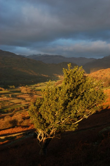 Duddon Photo #05